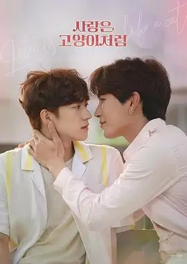 甜蜜爆表！《萌宝驾到，爹地追妻超级甜》带你探秘浪漫追妻与亲子温情的大冒险