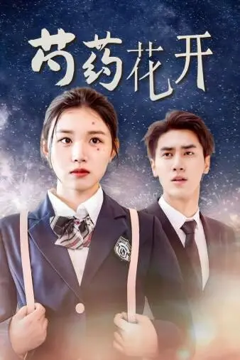 在战火中绽放的爱情奇迹：《芍药花开（火光中的芍药花）》如何用诗意描绘人性光辉