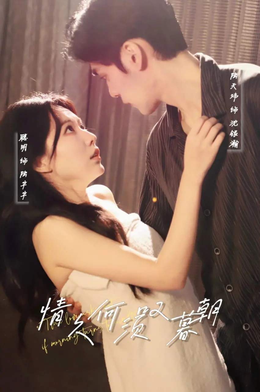 《情久何须叹暮朝》：跨越时空的爱恋，宿命与选择的凄美绝唱