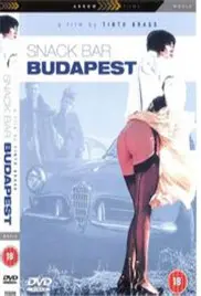 《布达佩斯小酒馆》：东欧风情、人生百味，一场关于记忆与救赎的奇遇